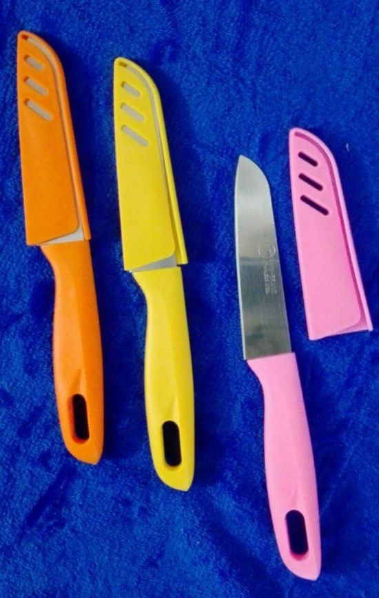  چاقو غلاف دار رنگی 2000 فروش
